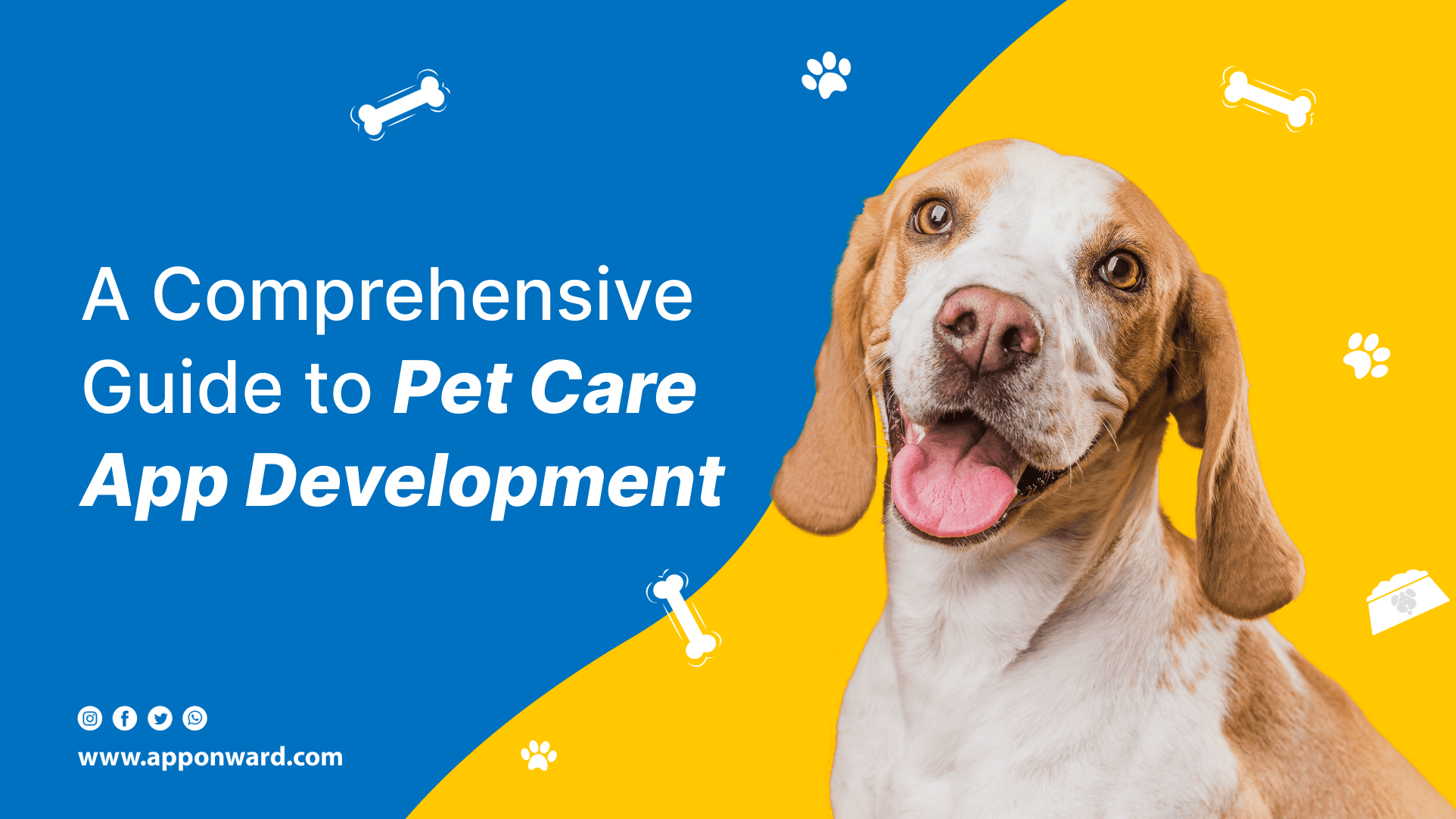 Pet Care App Development